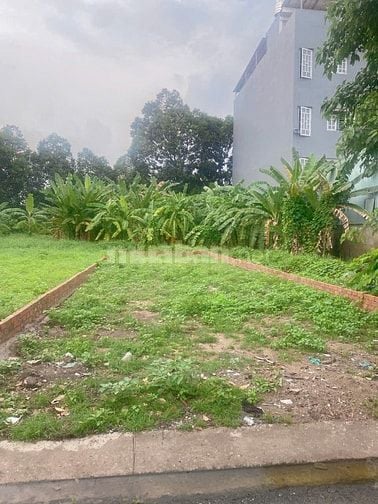 Lô đất sát chợ đầu mối Thủ Đức ra nhanh 2tỷ55 