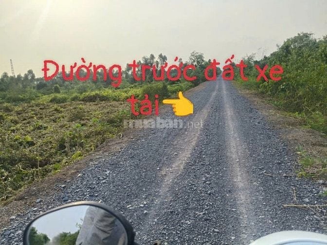 Cần bán gấp 1 lô Đất vườn 1000m2, xã Thạnh Lợi, Bến Lức, Long An