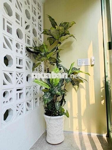 cho thuê nhà 1 trệt 1 lửng khu vực Nguyễn Văn Khối Gò Vấp