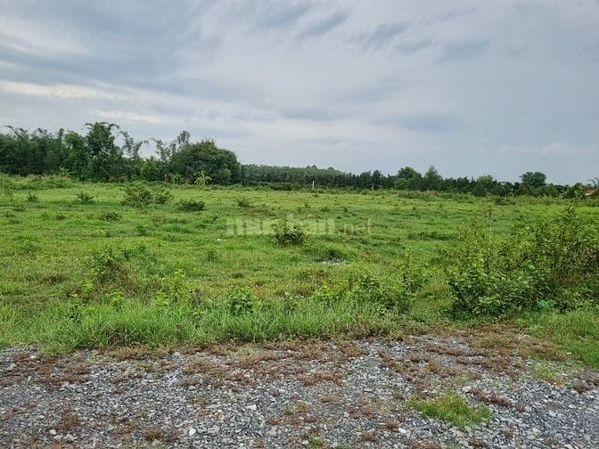 5500m2 có 1400m2 thổ cư. 2 mặt tiền. Ngay khu đô thị. 6,5 tỷ