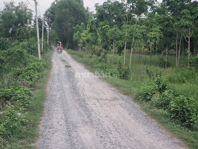 5500m2 có 1400m2 thổ cư. 2 mặt tiền. Ngay khu đô thị. 6,5 tỷ
