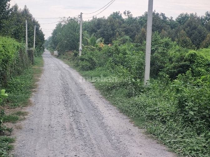 5500m2 có 1400m2 thổ cư. 2 mặt tiền. Ngay khu đô thị. 6,5 tỷ
