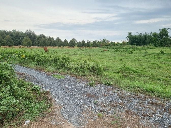 5500m2 có 1400m2 thổ cư. 2 mặt tiền. Ngay khu đô thị. 6,5 tỷ