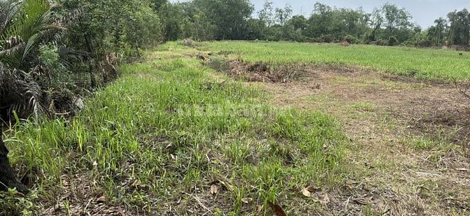 CHÍNH CHỦ GỬI BÁN LÔ ĐẤT LỚN HIẾM CÓ TẠI LONG PHƯỚC - THỦ ĐỨC (QUẬN 