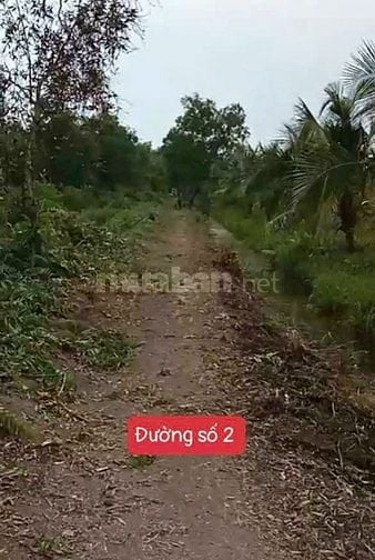 Chính chủ gửi, Bán gấp đất vườn Thạnh Hoà, Bến Lức, Long An