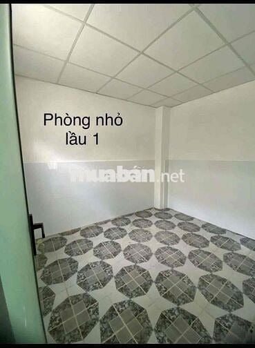 Nhà Mới Hẻm 3M Đường Tôn Thất Hiệp Quận 11