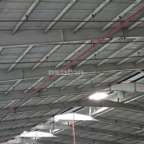 Cho thuê kho xưởng 3.800m² KCN Đức Hòa Long An ,Xưởng mới,PCCC tự động