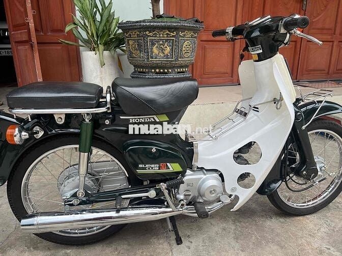 các dòng cub nhật