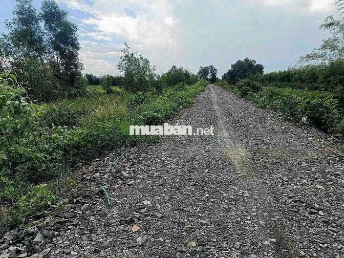 1000m Đất Vườn Đường 10m View Kênh Chỉ 650tr