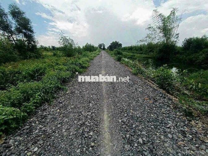 1000m Đất Vườn Đường 10m View Kênh Chỉ 650tr