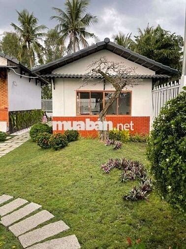 Chính chủ bán Đất dưỡng già 769m2 hoà khánh nam.