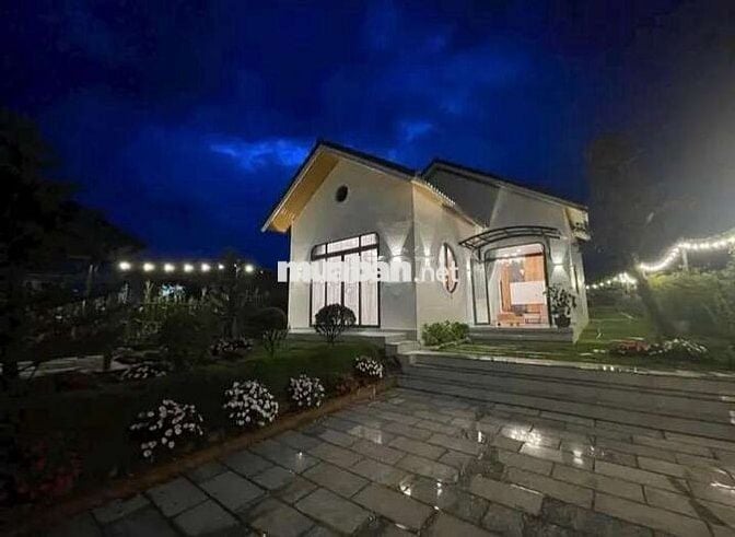 BÁN LÔ ĐẤT CÓ SẴN NHÀ VƯỜN VIEW ĐỒI THÔNG VEN ĐÀ LẠT GIÁ 500TR