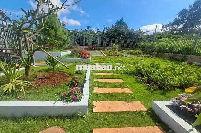 BÁN LÔ ĐẤT CÓ SẴN NHÀ VƯỜN VIEW ĐỒI THÔNG VEN ĐÀ LẠT GIÁ 500TR
