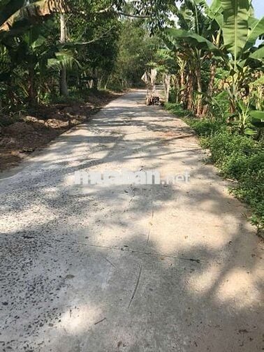 Cần bán nền 365m² rạch Xẻo Da đường nhánh Trương Vĩnh Nguyên