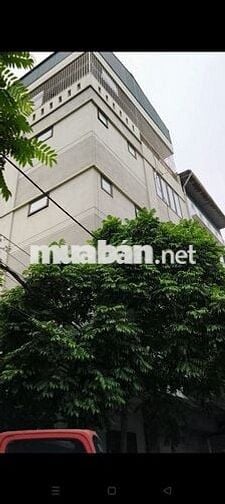 PHÂN LÔ VÍP 45m*5T  3 MẶT THOÁNG TRƯỚC NHÀ 3 Ô TÔ TRÁNH THÔNG TỨ TUNG