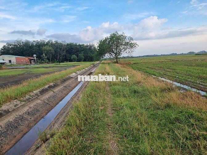 Hơn 1000m2 gần KCN Phước Đông. Đường xe hơi. 350tr
