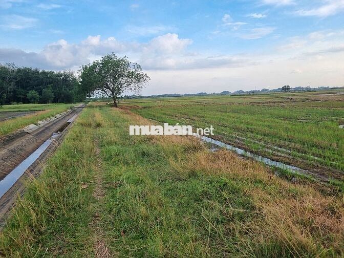 Hơn 1000m2 gần KCN Phước Đông. Đường xe hơi. 350tr