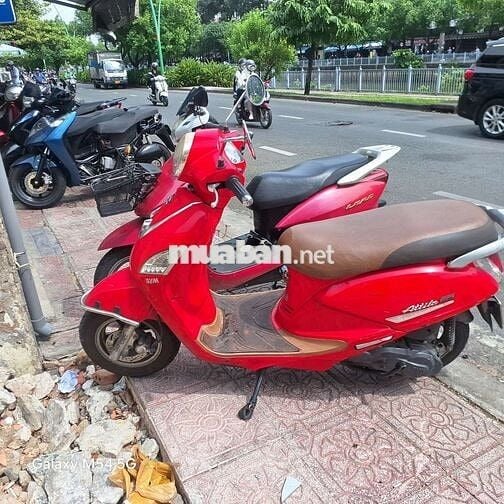 Elyzabeth Fi biển số thành phố