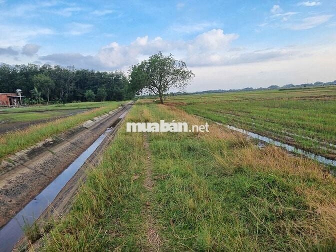 Hơn 1000m2 gần KCN Phước Đông. Đường xe hơi. 350tr