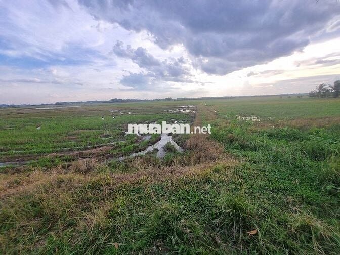 Hơn 1000m2 gần KCN Phước Đông. Đường xe hơi. 350tr