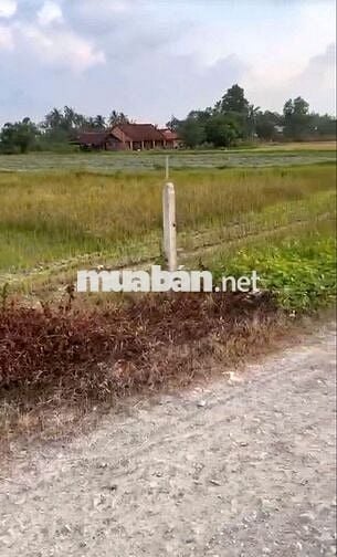 85m2 sổ hồng sẵn. Đường thông. Gần KCN Phước Đông. 125tr hết đất