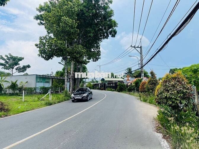 Thái Mỹ 224m2 (5x45m) mặt tiền đường Cây Trôm Mỹ Khánh chỉ 1,25 tỷ