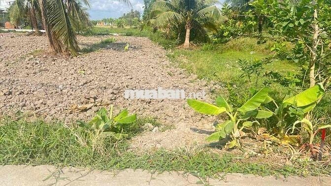 Cần bán 164m2 đất thổ cư tại Xã Vàm Cỏ - Tây Ninh ( Đức Tân- Tân Trụ )