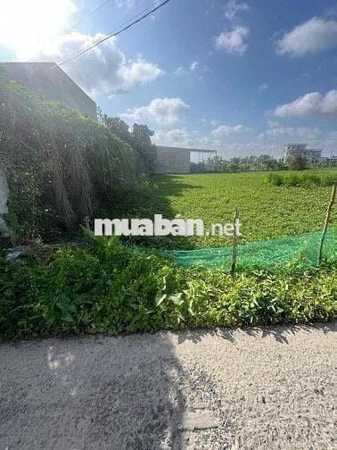 cần bán 150m2 thổ cư mặt tiền đường Nguyễn Văn Tiết. Lạc Tấn Tân Trụ