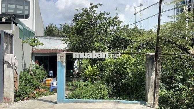 BÁN ĐẤT NHÀ BÈ – DIỆN TÍCH 175M² – HẺM Ô TÔ – KHU DÂN CƯ HIỆN HỮU