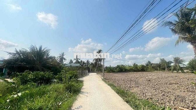 Cần bán 164m2 đất thổ cư tại Xã Vàm Cỏ - Tây Ninh ( Đức Tân- Tân Trụ )
