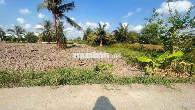 Cần bán 164m2 đất thổ cư tại Xã Vàm Cỏ - Tây Ninh ( Đức Tân- Tân Trụ )