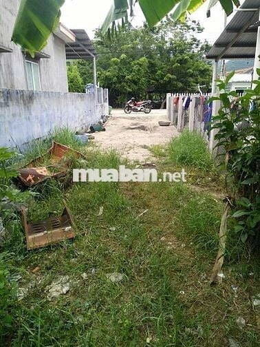 Chuyên săn đất biển ninh vân, giá tốt phun thổ cư tại biển ninh vân