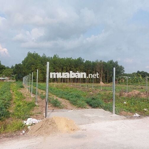 AN VIỄN GẦN KHU CÔNG NGHIỆP, NHÀ THỜ