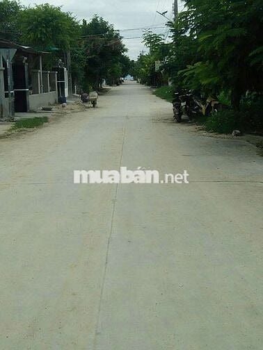 Chuyên săn đất biển ninh vân, giá tốt phun thổ cư tại biển ninh vân