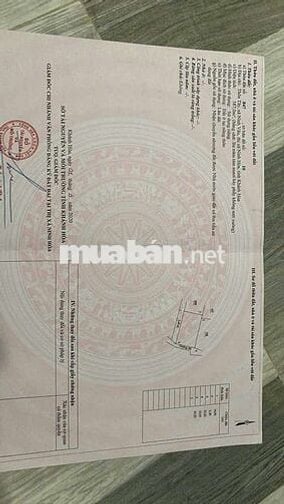 Chuyên săn đất biển ninh vân, giá tốt phun thổ cư tại biển ninh vân