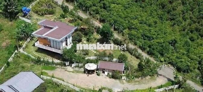 Bán lỗ biệt thự sân vườn tp Bảo Lộc dt 650m2 giá 950tr