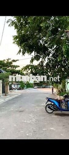 THANH LÝ PHÁT MÃI CHỢ BỜ NGỰA, XÃ TÂN KIÊN, HUYỆN BÌNH CHÁNH