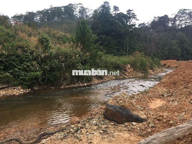 Đất nghỉ dưỡng - 200m mặt tiền suối trong vắt P. Langbiang Lâm Đồng