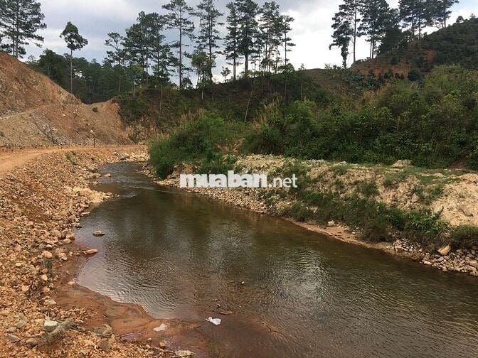 Đất nghỉ dưỡng - 200m mặt tiền suối trong vắt P. Langbiang Lâm Đồng