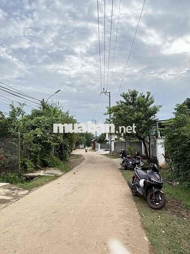 cần tiền ra bán lô đường Nguyễn Trường Tộ