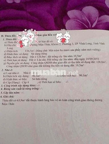 NHÀ MẶT TIỀN MẬU THÂN , trung tâm P3 (cũ)