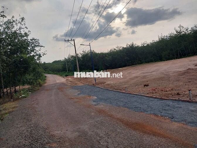 Giá Rẻ Nhất Khu Vực – 400m² Thổ Cư Gần KCN & Chợ Long Hà Chỉ 295 Triệu