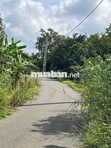 Cần bán 4000m2 Kim Long có 80 Thổ cư mặt tiền 83m măt tiềnđường nhựa