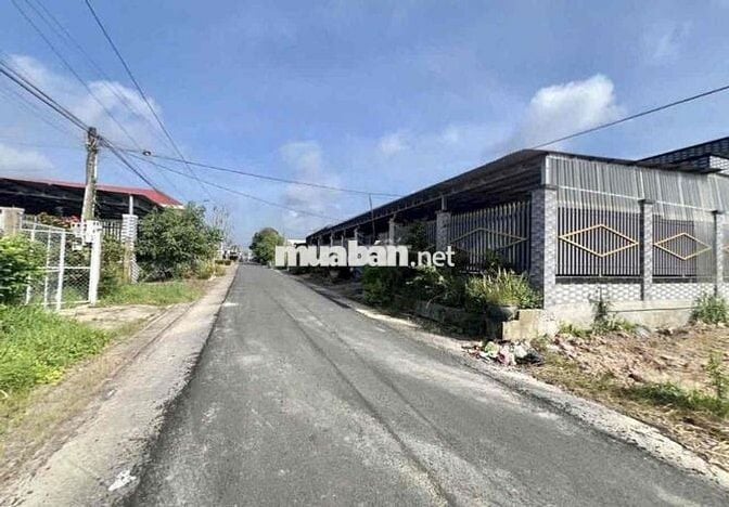 Cần bán gấp miếng đất thổ cư 200m2 mặt tiền đường nhựa 18m
