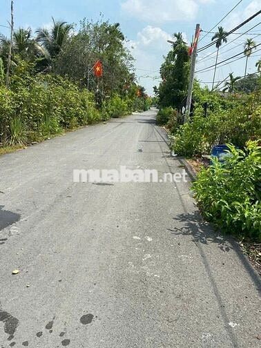 bán gấp nhà 5x18m – giá 690 triệu – đường cây bài, phước vĩnh an -cósổ