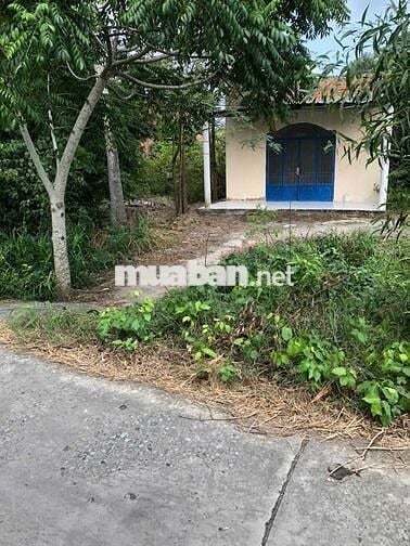 Đất nền Mỹ Thạnh Long An (cũ) nay Tây Ninh