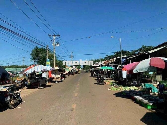 Giá Rẻ Nhất Khu Vực – 400m² Thổ Cư Gần KCN & Chợ Long Hà Chỉ 295 Triệu