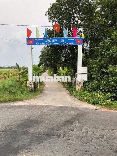 Đất nền Mỹ Thạnh Long An (cũ) nay Tây Ninh