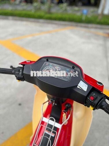 Xipo mẫu 2000 bs71