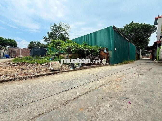 Bán đất  Tân Trại – Phú Cường, ngay Ga T1 Nội Bài – Đường ô tô tránh